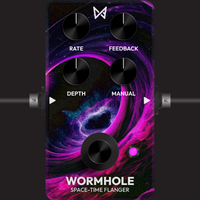 Wormhole: Vintage Flanger